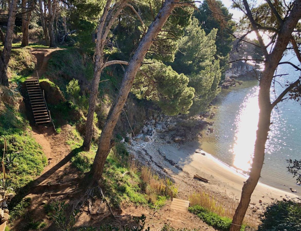 شقة Goldfinch Estate بنجول المظهر الخارجي الصورة