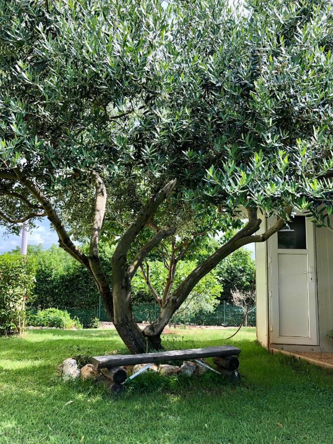 شقة Goldfinch Estate بنجول المظهر الخارجي الصورة
