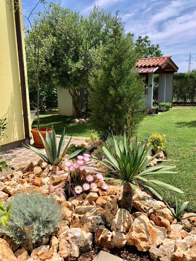 شقة Goldfinch Estate بنجول المظهر الخارجي الصورة